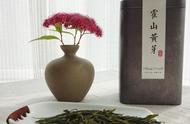 霍山黄芽：中国茶文化的衰落见证者