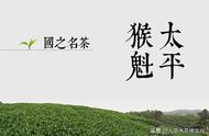太平猴魁茶：中国历史名茶的起源与独特品质