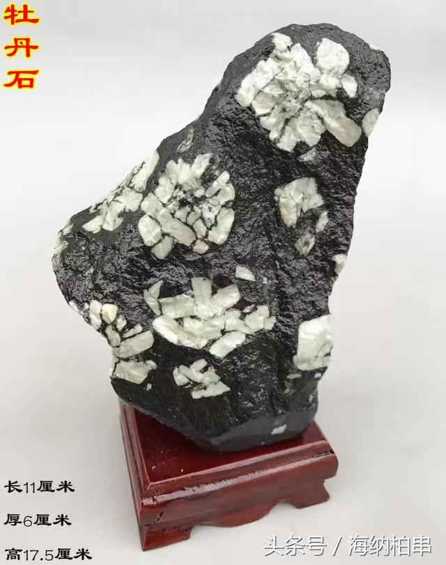 千年古城年年举办牡丹节，还出产一种独一无二的“牡丹石”!