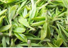 绿茶百科，都匀毛尖茶的价格都有哪些因素